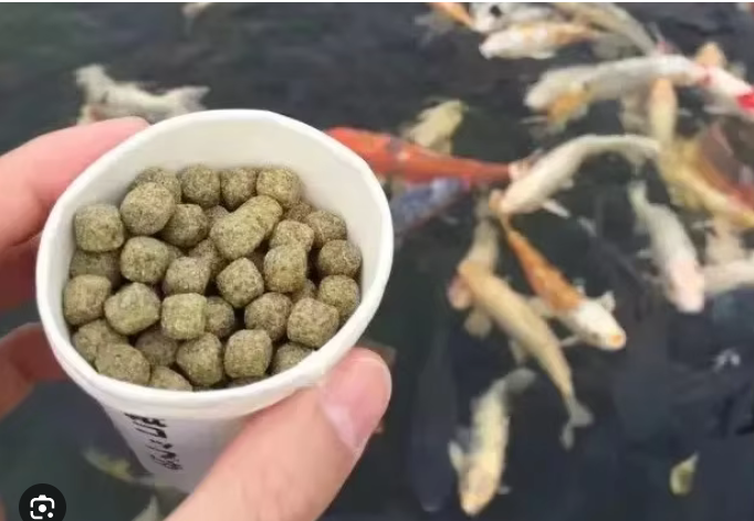 produksi pakan ternak