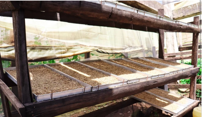 mesin pengering rotary dryer