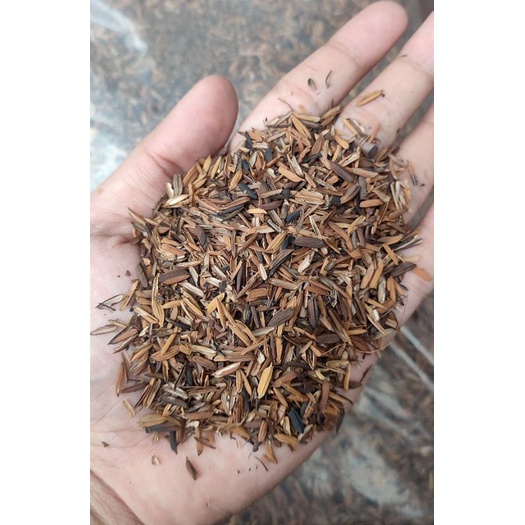 proses sangrai sekam