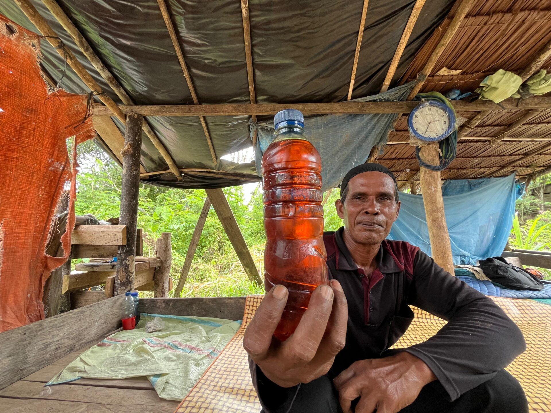 produksi minyak nilam